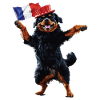 Rottweiler
