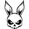Rabbit Skull Skeleton