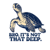 Relaxed turtle – pure deep relaxation
