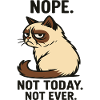 Cat "Not Today"