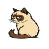Not Today Cat