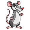 Rat