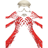Skull with red arms