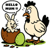 Bunny - Hello Mum – Easter Surprise