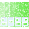 Year 2025