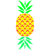 Ananas Pineapple
