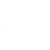 Bears 2