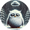 Owl Triste in freezing rain