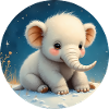 Bébé Éléphant sur le Sable