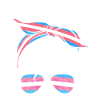 Transgender Trans LGBT Pride