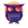 Owl with sunglasses look
