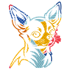 Dog Chihuahua