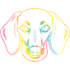 Chien teckel