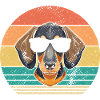 Chien teckel