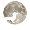 Chien de lune teckel