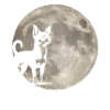 Moon Dog Chihuahua