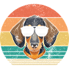 Chien teckel