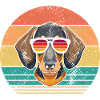 Hund Dackel