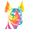 Chien Doberman
