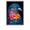 Pigeons Pigeon