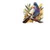 Pigeons Pigeon