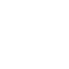 Pigeons Pigeon