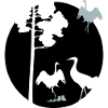 Afrika Kraniche