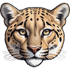 Tiger Head - Animal Design