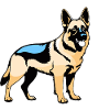 Schäferhund - Pet Dog Design