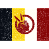 American Indian Movement