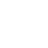 Single 2029