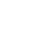 2029