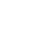 since 2029
