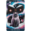 Tarotkarte