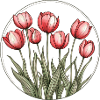 Tulip Circle