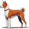 Basenji