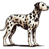 Dalmatian