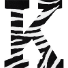 Letter k zebra