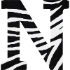 Letter n zebra