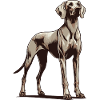 Weimaraner