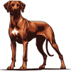 Rhodesian Ridgeback