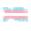 Fierté LGBT transgenre