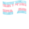 Fierté LGBT transgenre
