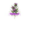 Thrive Vitality Thistle Healing
