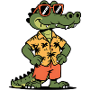 Alligator Funny Summer