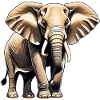 Elephant - Animal Design