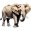 Elephant - Animal Design