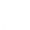 Cute alligator alligators