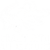 Cute alligator alligators