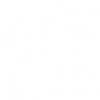 Cute alligator alligators